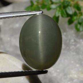 9.03 ct Green Quartz Cat's Eye Gemstone, Quartz Cat's Eye Gem in Oval Cabochon Shape for Sale.