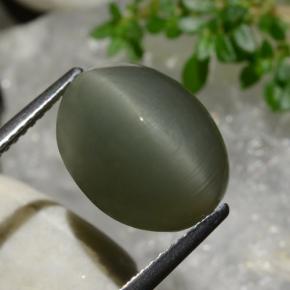 9.03 ct Green Quartz Cat's Eye Stone, Natural Quartz Cat's Eye in Oval Cabochon Shape for Sale