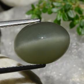 Quartz Cat's Eye Gemstone in 14 x 10 mm (calibrated) Size for Sale, Quartz Cat's Eye Stone in Warm Green Color