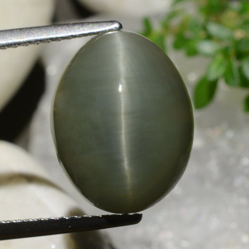 Cuarzo Ojo de Gato Cabujón Óvalo de 8,34 ct de Sri Lanka, Dimensión 14,1 x 11mm, Claridad Opaco, Piedra preciosa natural No tratado, 1 pieza de Cuarzo Ojo de Gato en color Verde cálido, Dureza Mohs de 7 Adecuado para joyas de uso diario, Photo A