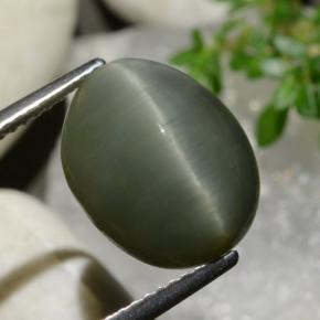 8.34 ct Green Quartz Cat's Eye Stone, Natural Quartz Cat's Eye in Oval Cabochon Shape for Sale