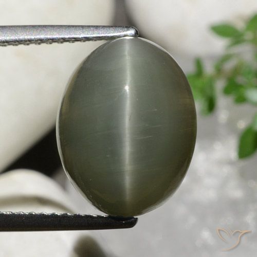 Cuarzo Ojo de Gato Verde Cabujón Óvalo de 13,2 x 10,3mm de Sri Lanka, peso de 7.86 ct, piedra preciosa natural No tratado en claridad Opaco, Cuarzo Ojo de Gato de 1 pieza - Color: Verde militar, dureza Mohs de 7 Adecuado para joyas de uso diario, Photo A