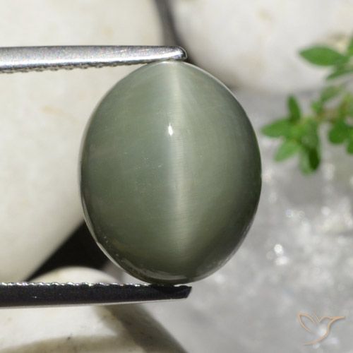 7.32 ct Oval Quartz Cat's Eye, 12.7 x 10.5 mm From Sri Lanka, Photo A