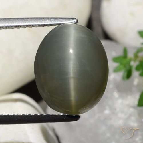 8.06 ct Oval Quartz Cat's Eye, 12.6 x 10.2 mm From Sri Lanka, Photo A