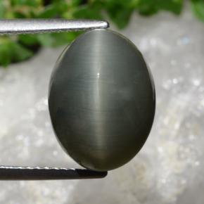 8.95 ct Gray Quartz Cat's Eye Gemstone, Quartz Cat's Eye Gem in Oval Cabochon Shape for Sale.