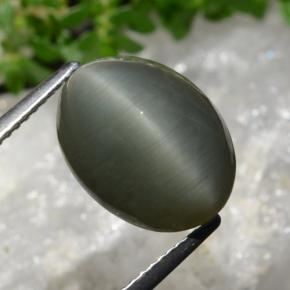 8.95 ct Gray Quartz Cat's Eye Stone, Natural Quartz Cat's Eye in Oval Cabochon Shape for Sale