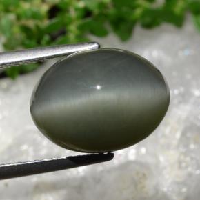 Quartz Cat's Eye Gemstone in 14 x 10.5 mm Size for Sale, Quartz Cat's Eye Stone in Dark Grey Color