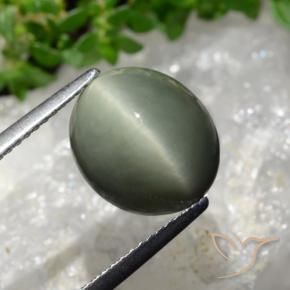6.02 ct Green Quartz Cat's Eye Stone, Natural Quartz Cat's Eye in Oval Cabochon Shape for Sale