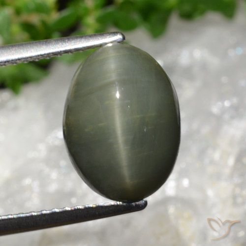 5.98 ct Oval Quartz Cat's Eye, 11.9 x 8.9 mm From Sri Lanka, Photo A
