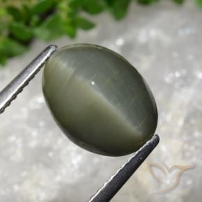 5.98 ct Green Quartz Cat's Eye Stone, Natural Quartz Cat's Eye in Oval Cabochon Shape for Sale
