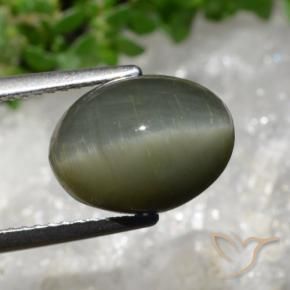 Quartz Cat's Eye Gemstone in 11.9 x 8.9 mm Size for Sale, Quartz Cat's Eye Stone in Medium Green Color