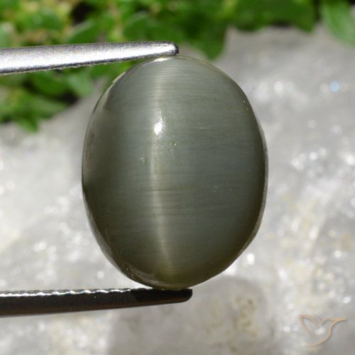 8.13 ct Oval Quartz Cat's Eye, 13.2 x 10.5 mm From Sri Lanka, Photo A