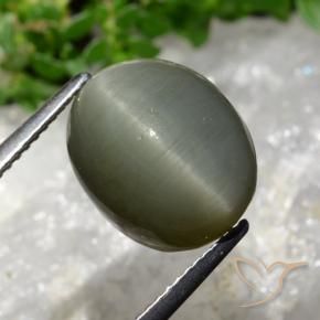 8.13 ct Green Quartz Cat's Eye Stone, Natural Quartz Cat's Eye in Oval Cabochon Shape for Sale