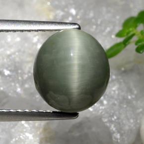 3.7ct Oval Cabochon Green Quartz Cat's Eye Gem for sale 3.7ct Oval Cabochon Green Quartz Cat's Eye Gem (ID: 472571)