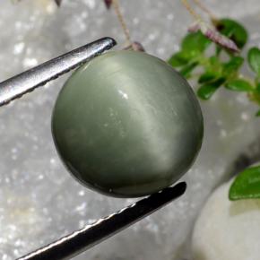4.39 ct Green Quartz Cat's Eye Stone, Natural Quartz Cat's Eye in Oval Cabochon Shape for Sale