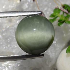 Quartz Cat's Eye Gemstone in 9.6 x 9.3 mm Size for Sale, Quartz Cat's Eye Stone in Green Color