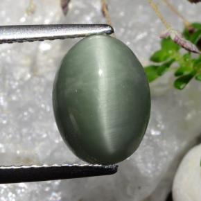 3.5ct Oval Cabochon Green Quartz Cat's Eye Gem for sale 3.5ct Oval Cabochon Green Quartz Cat's Eye Gem (ID: 472574)