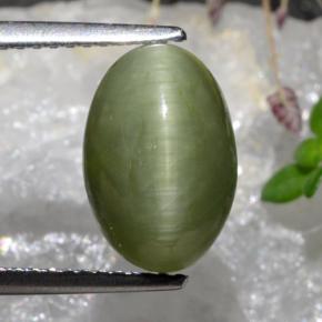 Vert moyen Oeil de Chat Quartz gemme - 3.9ct Ovale Cabochon (ID: 472577)