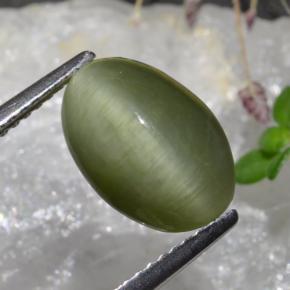 3.88 ct Green Quartz Cat's Eye Stone, Natural Quartz Cat's Eye in Oval Cabochon Shape for Sale
