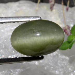 Quartz Cat's Eye Gemstone in 11.6 x 7.9 mm Size for Sale, Quartz Cat's Eye Stone in Medium Green Color
