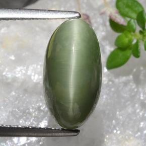 4.04 ct Green Quartz Cat's Eye Gemstone, Quartz Cat's Eye Gem in Oval Cabochon Shape for Sale.