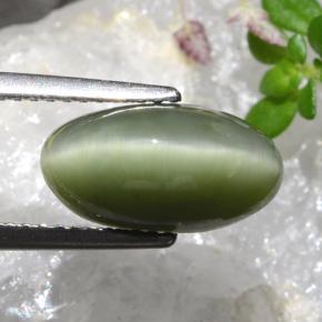 4.04 ct Green Quartz Cat's Eye Stone, Natural Quartz Cat's Eye in Oval Cabochon Shape for Sale