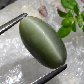 Quartz Cat's Eye Gemstone in 12.7 x 6.8 mm Size for Sale, Quartz Cat's Eye Stone in Green Color
