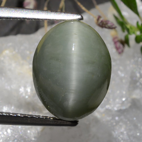 Verde medio Cuarzo Ojo de Gato Gema - 4.4ct Cabujón Óvalo (ID: 472579)
