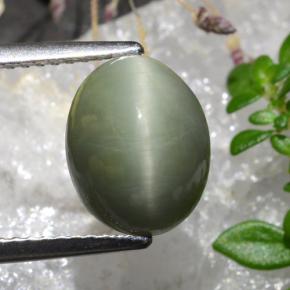 3.11 ct Green Quartz Cat's Eye Gemstone, Quartz Cat's Eye Gem in Oval Cabochon Shape for Sale.