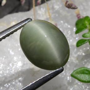 3.11 ct Green Quartz Cat's Eye Stone, Natural Quartz Cat's Eye in Oval Cabochon Shape for Sale