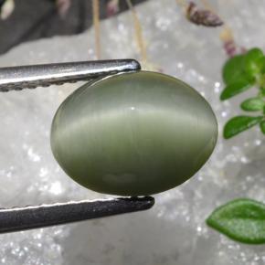 Quartz Cat's Eye Gemstone in 10.4 x 8.3 mm Size for Sale, Quartz Cat's Eye Stone in Green Color