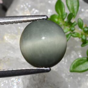 Quartz Cat's Eye Gemstone in 9.4 x 8.7 mm Size for Sale, Quartz Cat's Eye Stone in Medium Grey Color