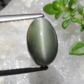 2.28 ct Green Quartz Cat's Eye Gemstone, Quartz Cat's Eye Gem in Oval Cabochon Shape for Sale.