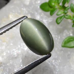 Quartz Cat's Eye Gemstone in 9.7 x 6.2 mm Size for Sale, Quartz Cat's Eye Stone in Green Color