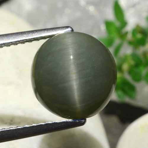 Oeil de Chat Quartz Vert oval cabochon du Sri Lanka, 10,1 x 9,8mm, poids de 5,45 ct, pierre gemme naturelle Non traité de pureté Opaque , 1 pièce Oeil de Chat Quartz, couleur Gris verdâtre, dureté Mohs de 7 convient aux bijoux de tous les jours, pierre de sagesse, Photo A