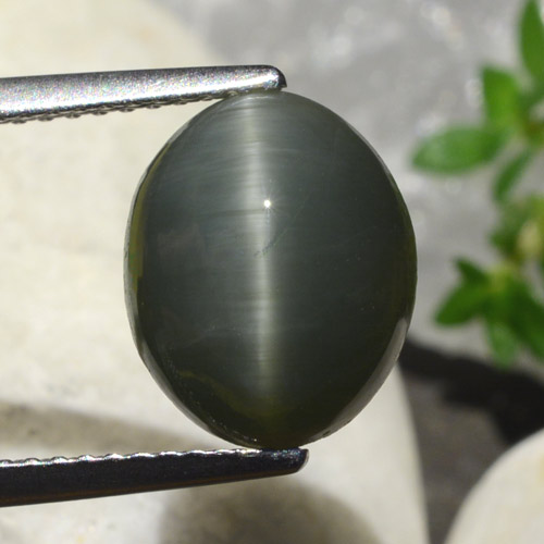 Greenish Grey Quartz Cat's Eye Gem - 5ct Oval Cabochon (ID: 472597)