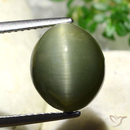 5.98 ct Oval Quartz Cat's Eye, 11.4 x 9.8 mm From Sri Lanka, Photo A