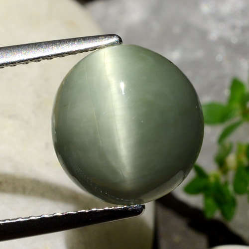 Medium Green Quartz Cat's Eye Gem - 5.7ct Oval Cabochon (ID: 472600)