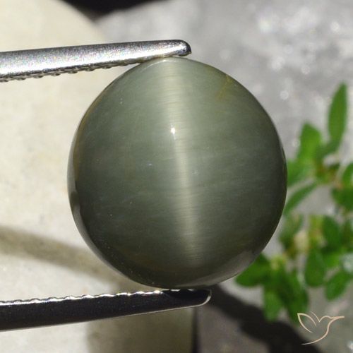 6.23 ct Oval Quartz Cat's Eye, 11.5 x 10.8 mm From Sri Lanka, Photo A