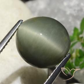 6.23 ct Green Quartz Cat's Eye Stone, Natural Quartz Cat's Eye in Oval Cabochon Shape for Sale