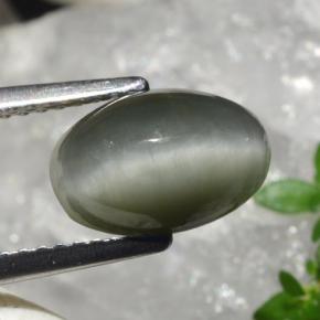 Quartz Cat's Eye Gemstone in 10.4 x 6.8 mm Size for Sale, Quartz Cat's Eye Stone in Medium Grey Color