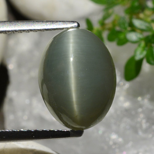 Greenish Grey Quartz Cat's Eye Gem - 5ct Oval Cabochon (ID: 472605)