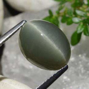 4.96 ct Green Quartz Cat's Eye Stone, Natural Quartz Cat's Eye in Oval Cabochon Shape for Sale