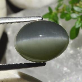 Quartz Cat's Eye Gemstone in 11.5 x 8.9 mm Size for Sale, Quartz Cat's Eye Stone in Greenish Grey Color