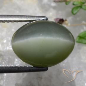 Quartz Cat's Eye Gemstone in 12.3 x 9.2 mm Size for Sale, Quartz Cat's Eye Stone in Greenish Grey Color