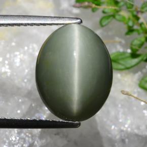 Grayish Green Quartz Cat's Eye Gem - 6.7ct Oval Cabochon (ID: 472872)