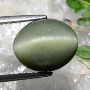 Quartz Cat's Eye Gemstone in 12 x 10 mm (calibrated) Size for Sale, Quartz Cat's Eye Stone in Grayish Moss Green Color