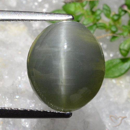 5.35 ct Oval Quartz Cat's Eye, 11.9 x 10.2 mm From Sri Lanka, Photo A