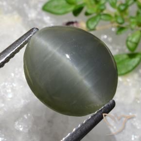 5.35 ct Green Quartz Cat's Eye Stone, Natural Quartz Cat's Eye in Oval Cabochon Shape for Sale