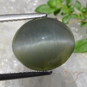 Quartz Cat's Eye Gemstone in 12 x 10 mm (calibrated) Size for Sale, Quartz Cat's Eye Stone in Greenish Grey Color